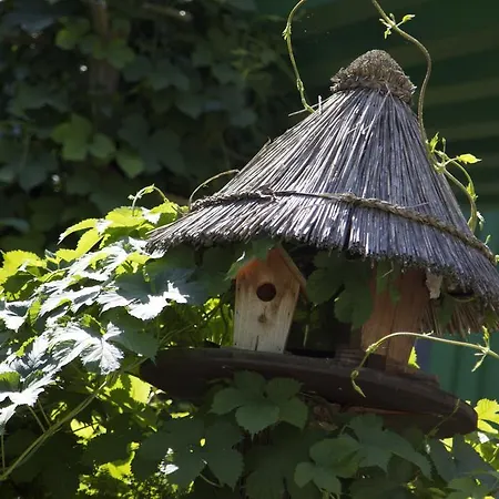 Hotel Zur Kutsche Oberschöna