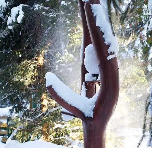 Zur Kutsche Отель