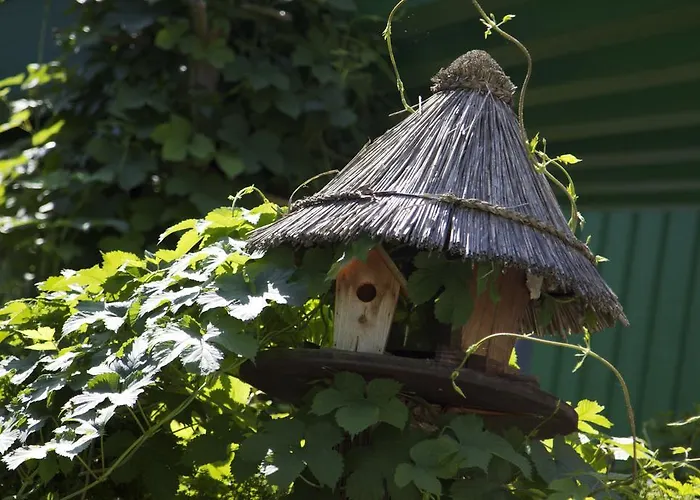 Отель Zur Kutsche Oberschona